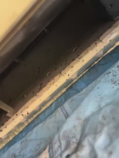 Visita técnica de Revisión y/o Mantenimiento Preventivo Split Muro Residencial